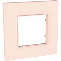 *RAMECEK QUADRO 1NAS. SALMON